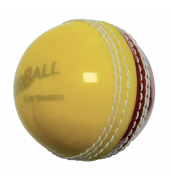 Aero Trainer Cricket Ball Senior CT203 RED/YELLOW SNR